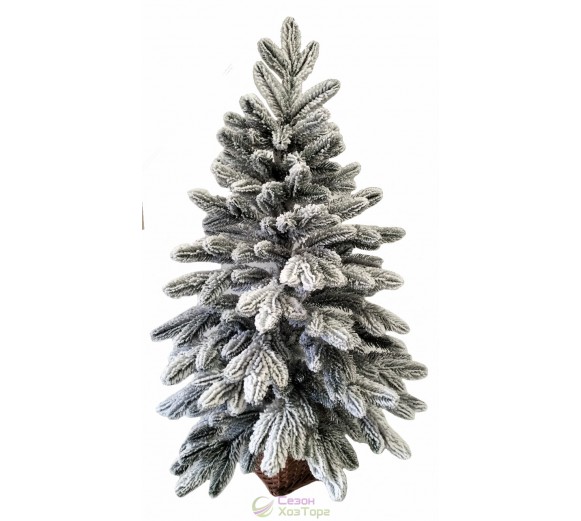 Ялина лита засніжена 0,9 м у горщику з лози